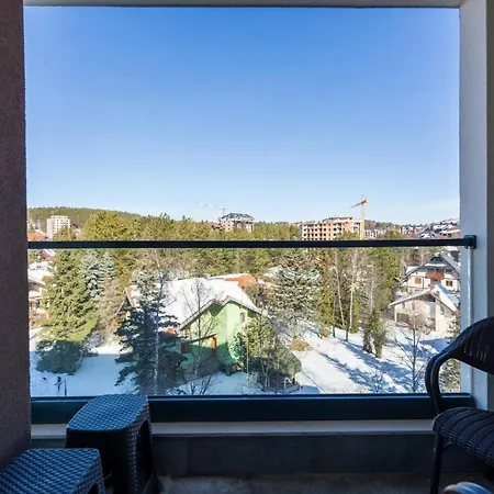 Vojvoda * 즐라티보