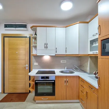 아파트 Vojvoda 즐라티보