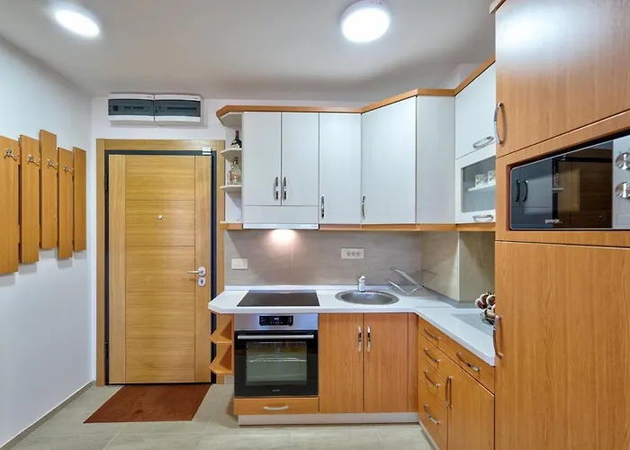 Διαμέρισμα Vojvoda Ζλάτιμπορ